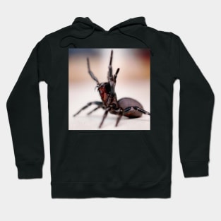 Sydney Funnel Web Spider -Atrax robustus Hoodie